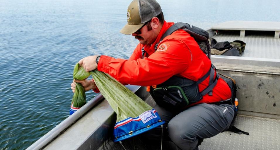 Travis does a plankton tow looking for AIS