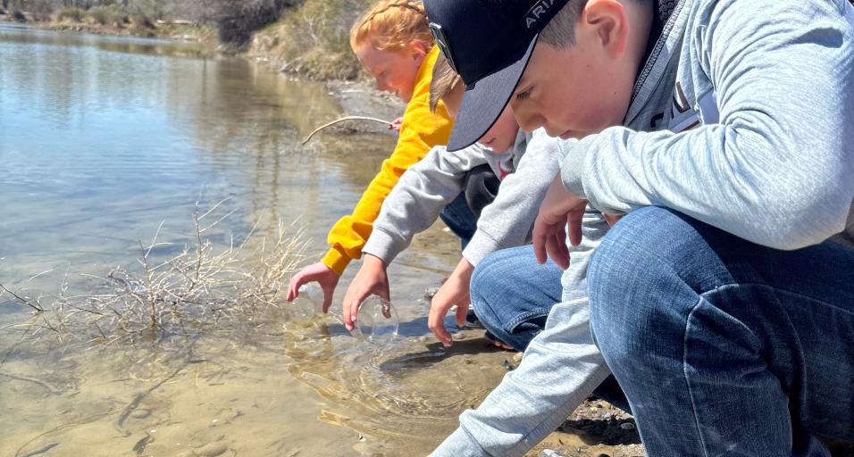 Students release trout fingerlings as part of the Trout in the Classroom program.