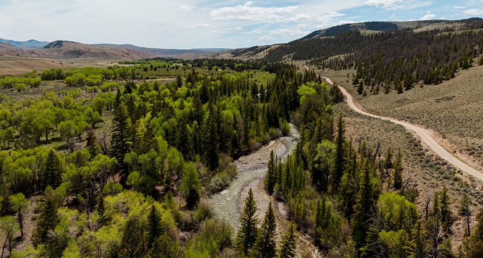 Aerial photo of wildlife habitat management area of Kirk Inberg/Kevin Roy