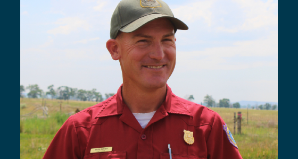 Mark Dexter