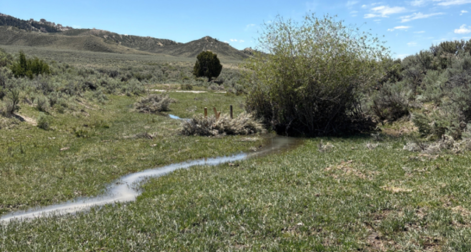 beaver dam analog on constructed in 2026