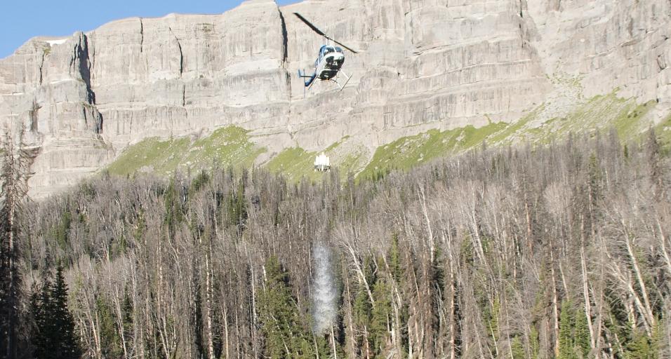 Helicopter stocks fish into high elevation lakes