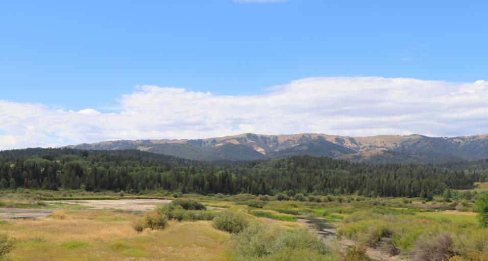 Salt River/Alpine Wetlands area