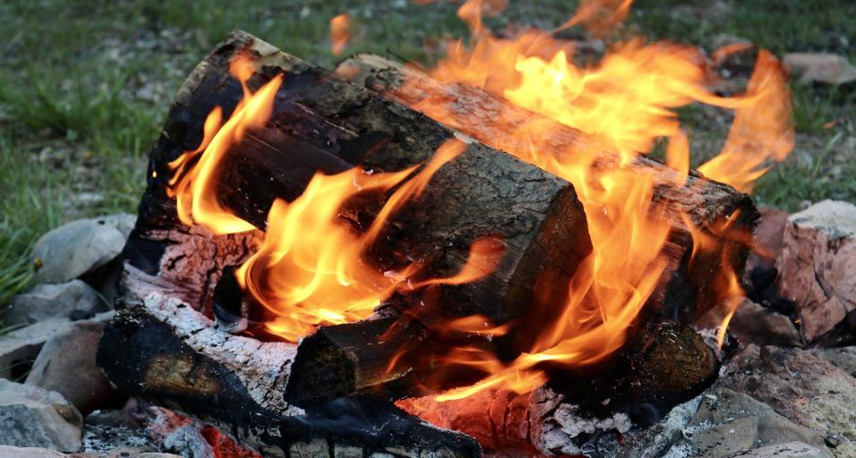 Tree logs in the fire