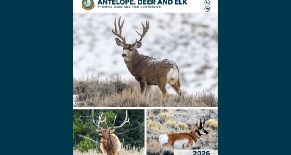 2026 big game hunting regulations