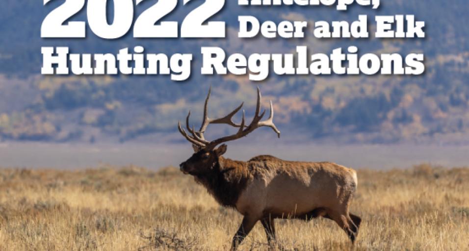 Hunters: Download The 2022 Elk, Deer And Antelope Hunting Regulations ...