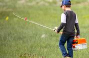A kid with a fishing pole and tacklebox walks through a field