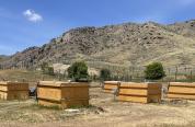 Large wood bins on a flat area with a large hill in the background