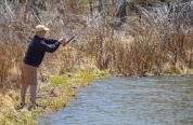 Man fishing from side of stream