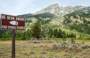 A sign encouraging bear safety in front of a mountain background