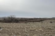 Image of habitat at Sand Mesa Wildlife Habitat Management Area