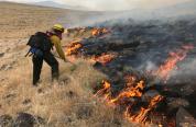 Cheatgrass fire Firefighter working on a cheatgrass fire