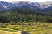 Alpine Wetlands Public Access Area