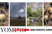 2025 photo contest graphic 2025 photo contest graphic