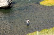Fly fisherman
