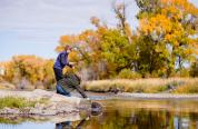 Fall fly fishing in Wyoming