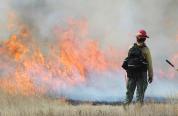 BLM fire crew on site at Ocean Lake during a prescribed fire in 2019. Fire burning the wetland with bright orange flames 30 yards in front of fire crew