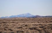 Laramie Peak Landscape