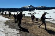 A crowd of wildlife viewers and photographers observe a bear on Togwotee Pass this spring.