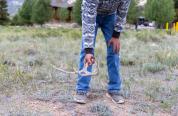 Picking up shed antlers