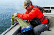 Travis does a plankton tow looking for AIS