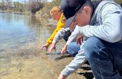 Students release trout fingerlings as part of the Trout in the Classroom program.