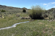 beaver dam analog on constructed in 2026