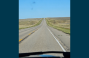 green up on highway