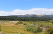 Salt River/Alpine Wetlands area