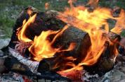 Tree logs in the fire