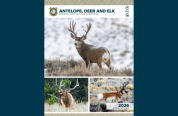 2026 big game hunting regulations