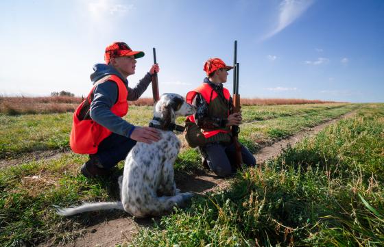Youth hunters and dog at Springer pheasant hunt Youth hunters and dog at Springer pheasant hunt