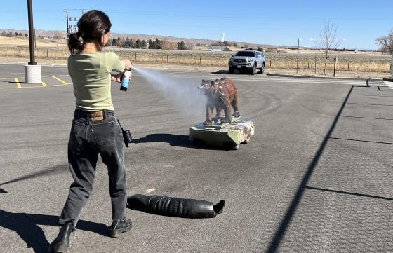 Practicing with inert bear spray on robo bear 