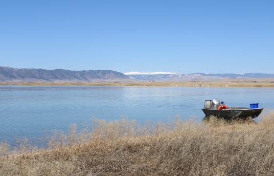 Boat on Meeboer Lake