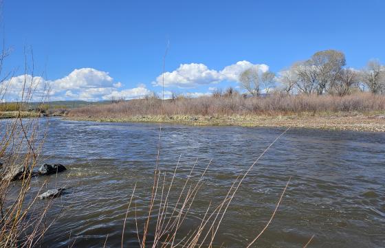 the Popo Agie River at the access area