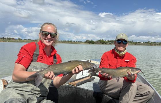Fisheries Technicians Caroline Varie and Vaughn Reschenberg with Kinnear Lake channel catfish, June 2025