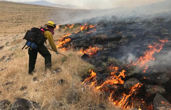 Firefighter working on a cheatgrass fire