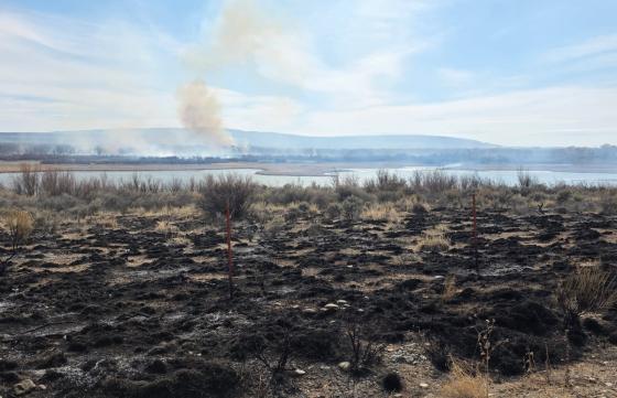 A photo of blackened brush and a smoke plume in the distance behind Kane Cemetery Pond on Yellowtail Wildlife Habitat Management Area. 