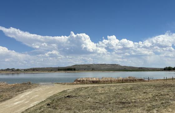 Kinnear Pond Access Area