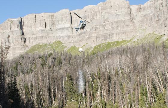 Helicopter stocks fish into high elevation lakes
