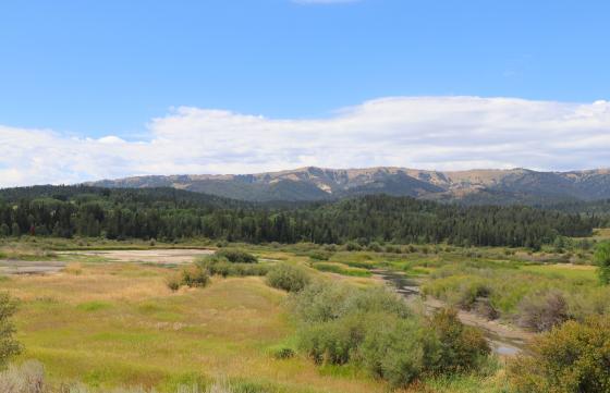 Salt River/Alpine Wetlands area
