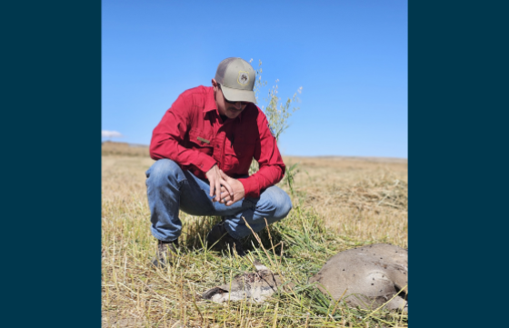 biologist looking at WTD after EHD outbreak