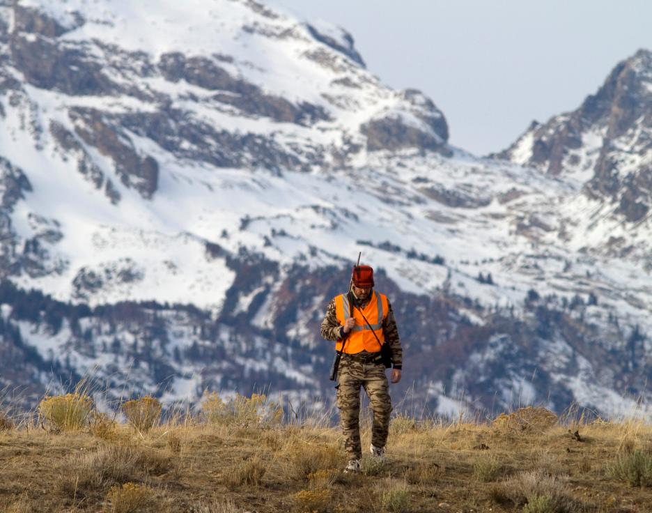 Making tiger trout  Wyoming Game & Fish Department