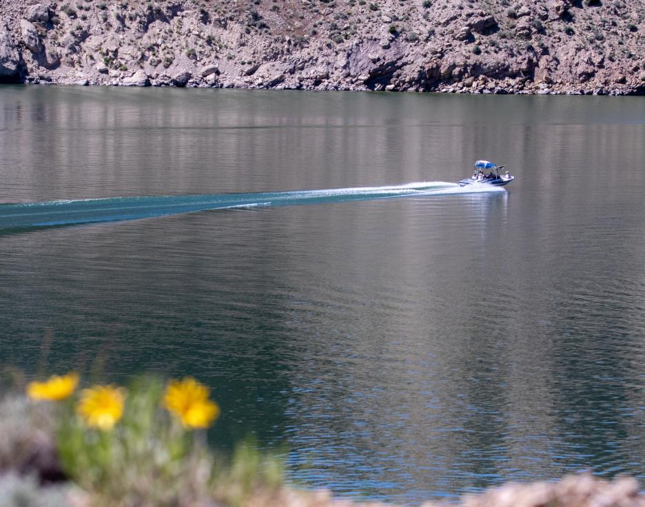 Help empty Huck Finn Pond of fish before Oct. 15 – The Durango Herald