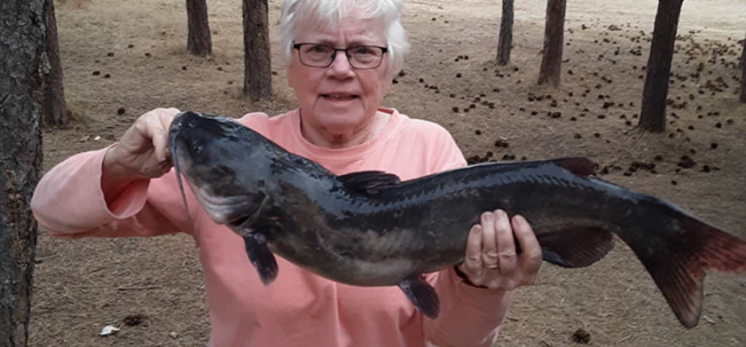 Woman holds a large catfish for a photo