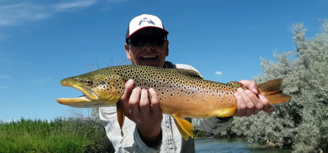 Male angler holds a brown trout for his Master Angler photo submission