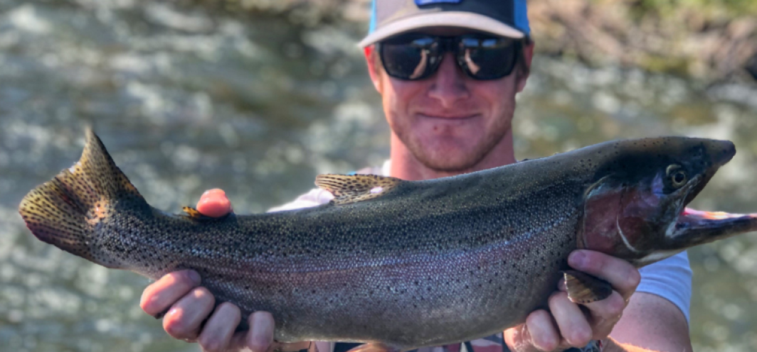 Male angler holds a large rainbow trout for a photo