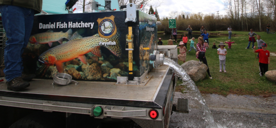 The Daniel Fish Hatchery Distribution Truck stocking fish at a local pond with kids watching in the background.