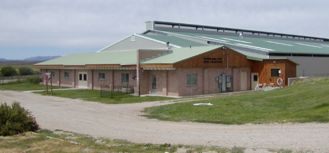 The front exterior of the Daniel Fish Hatchery's hatchery building with a green roof and brick front.