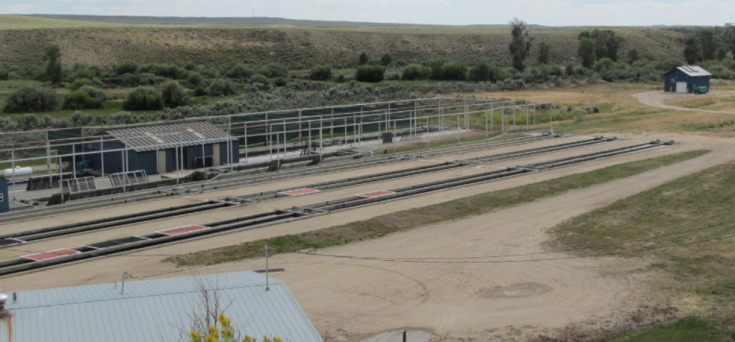 An exterior shot showing the concrete raceways used for rearing fish at the Boulder Rearing Station in western Wyoming. 